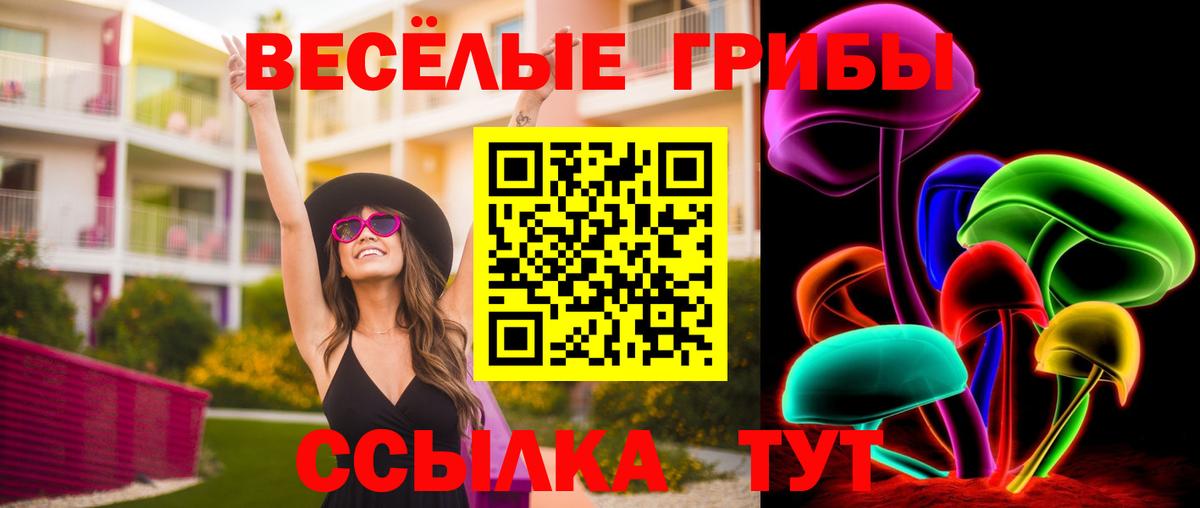 Новомосковск  Псилоцибиновые грибы мухоморы  наркошоп  Вход с VPN 